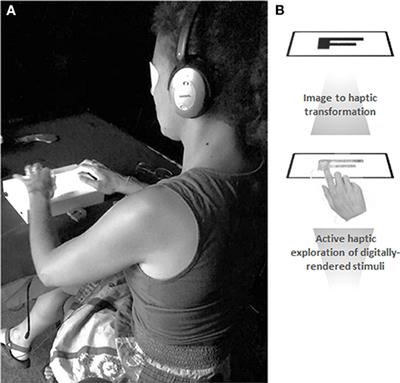 Mental Rotation of Digitally-Rendered Haptic Objects by the Visually-Impaired